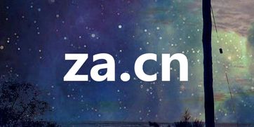 转眼拍得上百万 精品域名za.cn的进阶之路