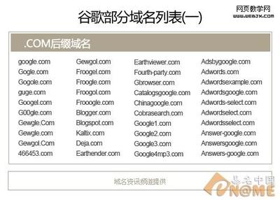 全球最具盛名的搜索品牌谷歌注册域名达400多个