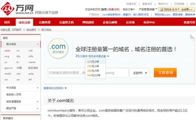 万网域名查询服务,它如何简化您的网站搭建过程?