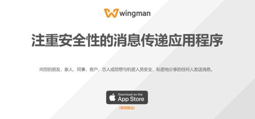 单词域名令人 上瘾 ,荷兰企业再斥230万元收购一枚精品单词.com