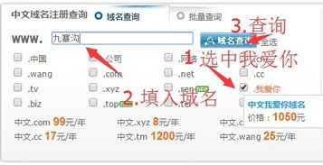 .我爱你域名注册教程