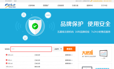 如何核对已注册域名的信息及年限?