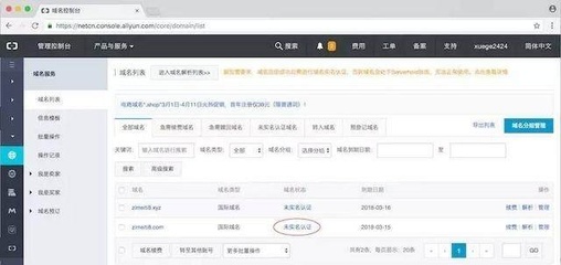 0039 如何进行网站域名的购买、配置和备案
