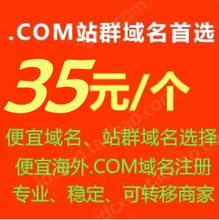 【国外域名注册.com】最新最全国外域名注册.com 产品参考信息