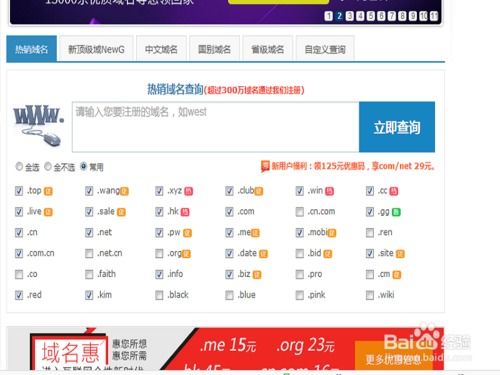 域名注册完整指南 从选择到购买的全流程解析