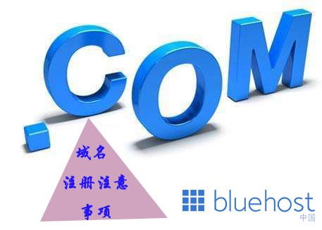 Bluehost中文官方博客 – 第100页 域名注册指南