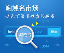 viptaobao.com域名注册指南 最新最全产品参考信息